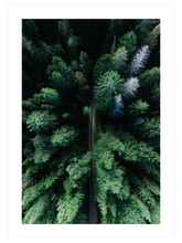 Naturally Green Poster Seti